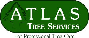 Atlas Tree Services